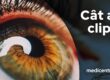 Cat ai clipi