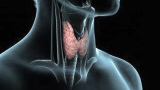 Medicentrum Endocrinologie