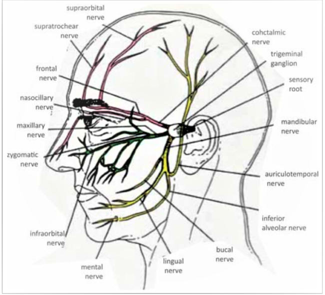 Nevralgia trigeminala