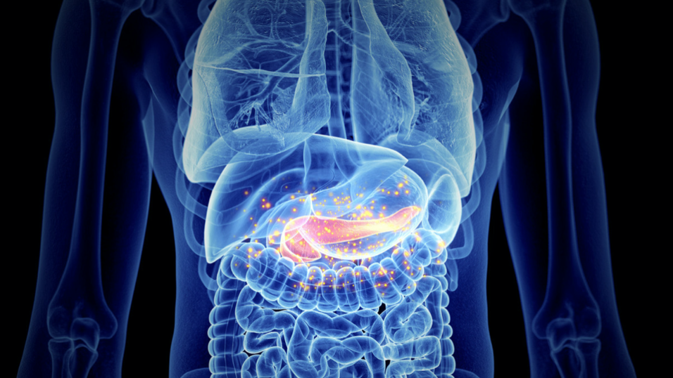 Screen-Shot-2020-07-06-at-10.54.31-AM