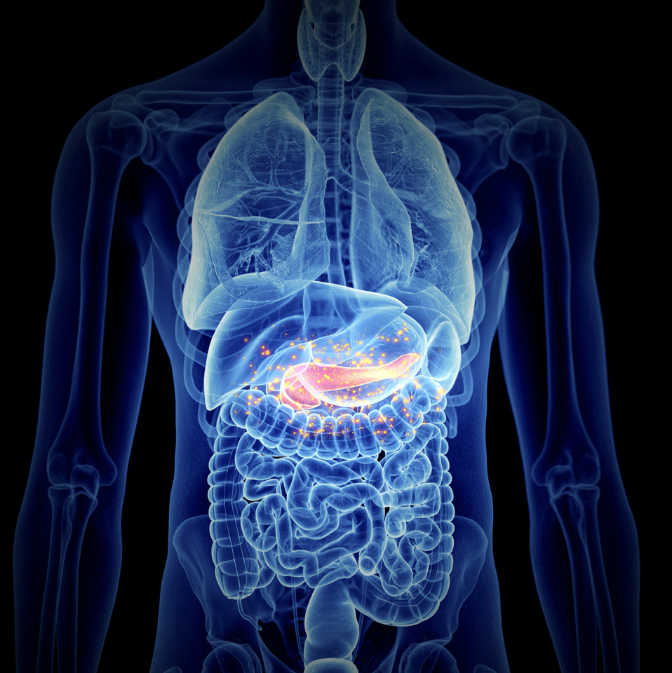 Screen-Shot-2020-07-06-at-10.54.31-AM