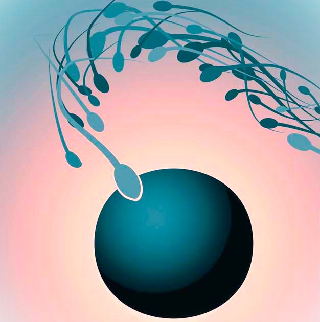 infertilitate-barbati-medicentrum Infertilitate barbati