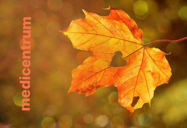 VREMEA FRIGUROASĂ = RĂCEALA COMUNĂ ?