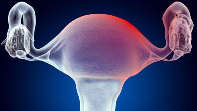 what-does-cervical-mucus-look-like-after-ovulation