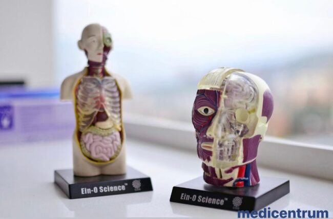 ziua mondiala a bolnavului