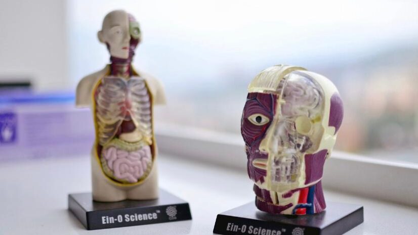 ziua mondiala a bolnavului